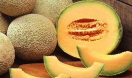 黄缘吃哈密瓜,一场甜蜜的味蕾之旅