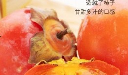 上班不工作吃瓜文案,吃瓜群众欢乐多