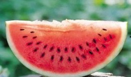 整天吃瓜现在瓜落在自己身上,从吃瓜群众到瓜落自尝的尴尬转变