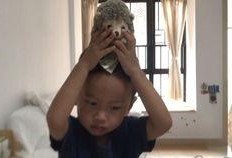 全职宝妈吃瓜,揭秘育儿圈那些事儿