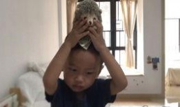 全职宝妈吃瓜,揭秘育儿圈那些事儿