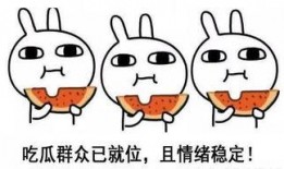 在线打人吃瓜,在线打人现象的反思与警示