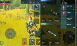 塞尔达吃哈密瓜,一场奇幻的味蕾冒险