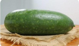 家里一直吃的瓜叫啥瓜,揭秘我家常吃的那款神秘瓜名