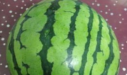 西瓜从小瓜到大瓜多久可以吃,从嫩瓜到熟瓜的蜕变之旅