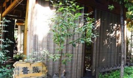 吃瓜亭桃源,揭秘隐秘世外桃源的神秘魅力