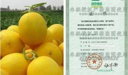 吃瓜嗓子齁甜,夏日消暑美食大盘点