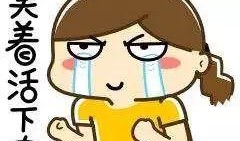 超速吃瓜,揭秘娱乐圈的疯狂速度与激情