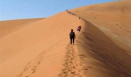 跑男来了沙漠吃瓜