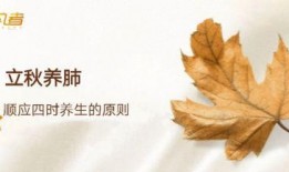 立秋吃瓜音乐,乐享丰收时光