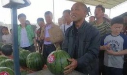 塔城吃瓜群众,揭秘当地生活百态