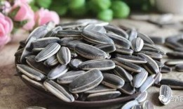 吃瓜配上瓜子图片大全,吃瓜神器图片大盘点