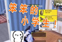 直播笨笨吃瓜图片,笨笨萌宠大吃瓜，萌态十足引网友热议