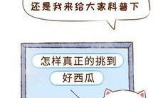 拒绝吃瓜图,聚焦自我成长