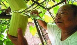 老大爷砍瓜吃瓜视频,这才是真正的吃瓜群众！