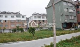 嘉兴硖石街道吃瓜