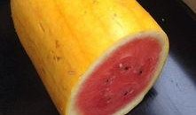 123吃瓜,揭秘娱乐圈那些不为人知的幕后故事