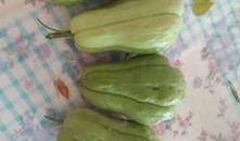 怎么变成吃瓜大神,如何成为娱乐圈的“瓜王”