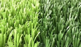 草坪吃瓜视频,吃瓜视频带你领略欢乐时光