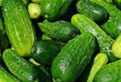 梦见别人吃瓜很香,瓜香四溢，揭秘梦中他人美食之旅