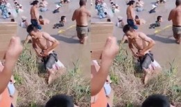 吃瓜群众有鱼吃,揭秘网络热议背后的美食诱惑