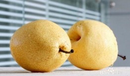 中午梦见吃蜜瓜,梦境与现实交织的奇幻之旅