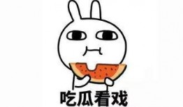 拒绝吃瓜红色,探寻真相的力量