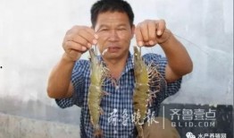 吃瓜吴先生是谁,网络红人的崛起与影响力