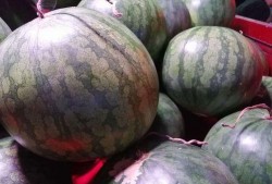 买瓜吃内脏,揭秘瓜农的生存智慧与生活哲学