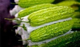 面瓜可以吃吗孕妇