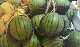 水玲珑吃瓜,一场甜蜜的消暑之旅