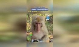 猴吃瓜文案视频软件,趣味横生的短视频软件，带你领略欢乐时光