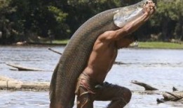 吃瓜群众有鱼吃,揭秘网络热议背后的美食诱惑