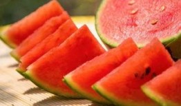 吃瓜比听课,轻松学习新姿势