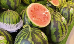 天天吃瓜,揭秘娱乐圈那些事儿