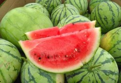 热门吃瓜国产专区,揭秘娱乐圈幕后风云