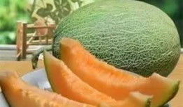 哈密瓜吃后可以吃西瓜吗,同食相宜，美味共享