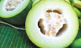 墨龟吃瓜,揭秘墨龟吃瓜的奇妙世界