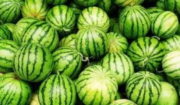 吃瓜的打架方式,一场别开生面的“瓜界”混战