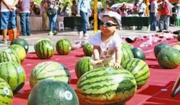 每日吃瓜大赛全国,全国瓜农竞技盛宴