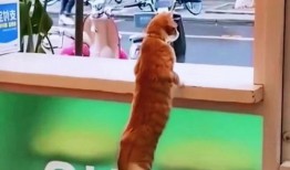 在门口吵架吃瓜,吃瓜群众现场直播