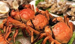 螃蟹吃瓜视频大全,趣味横生的海洋美食秀