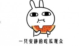 吃瓜的打架方式,一场别开生面的“瓜界”混战