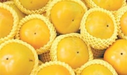 哈密瓜和柿子一起吃吗,哈密瓜与柿子同食的注意事项及搭配建议