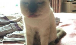 吃瓜脸肿咋回事,原因及预防措施