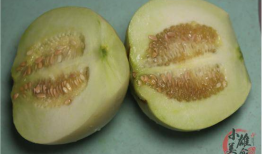 攻略哪有吃瓜香,哪有吃瓜香