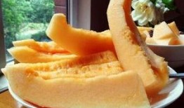 冬瓜吃哈密瓜,一场甜蜜的味蕾之旅