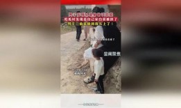 盘点吃瓜被偷家,揭秘网络诈骗背后的真相
