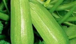 安辰在线吃瓜,揭秘娱乐圈幕后故事