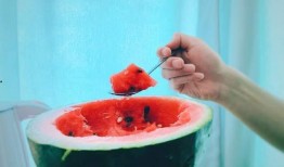 吃瓜深圳,揭秘这座城市的美食与娱乐盛宴